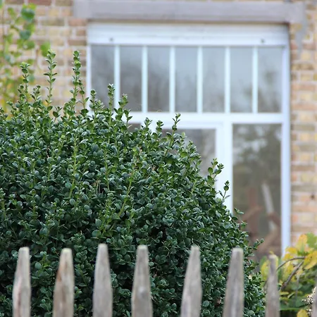 Hébergement de vacances De Pastorie